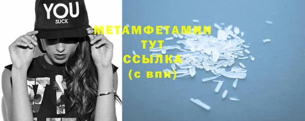 PSILOCYBIN Вяземский